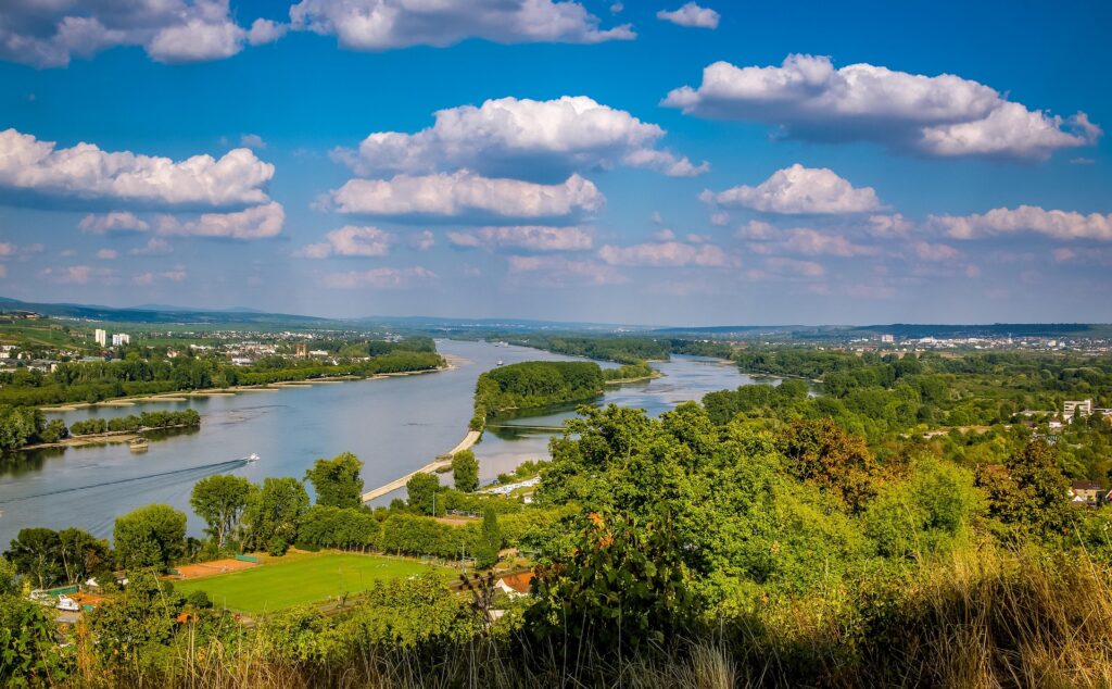 Bingen am Rhein | BSG Bildungsinstitut