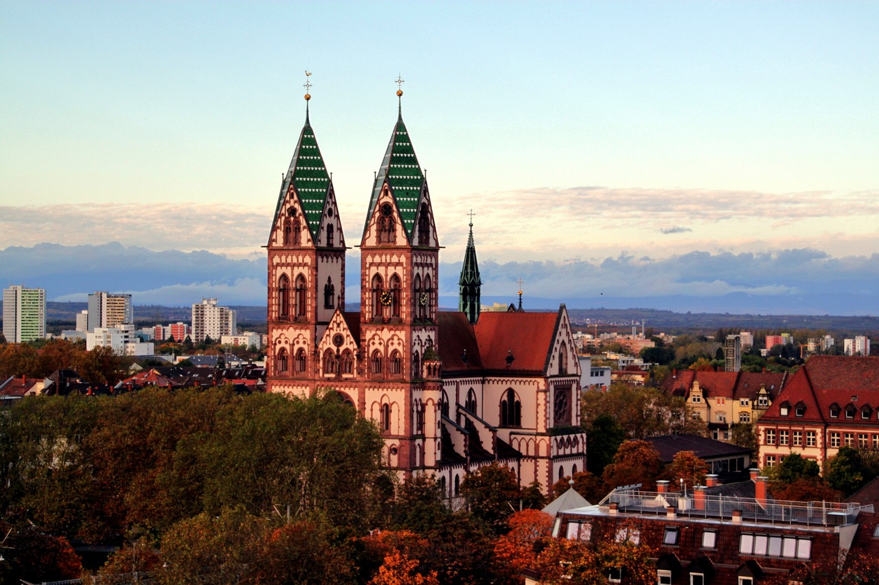 BSG AVGS Einzelcoaching Freiburg im Breisgau