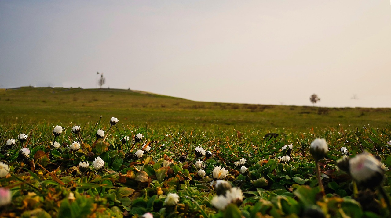 BSG in der Praxis von Daniel Pallaks | Borsteler Straße 5, 31535 Neustadt
