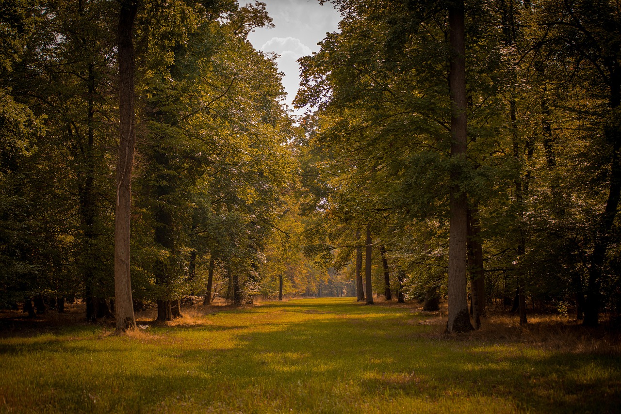 BSG in der Praxis von Olga Mereuta | Holzsteige 11, 74653 Ingelfingen