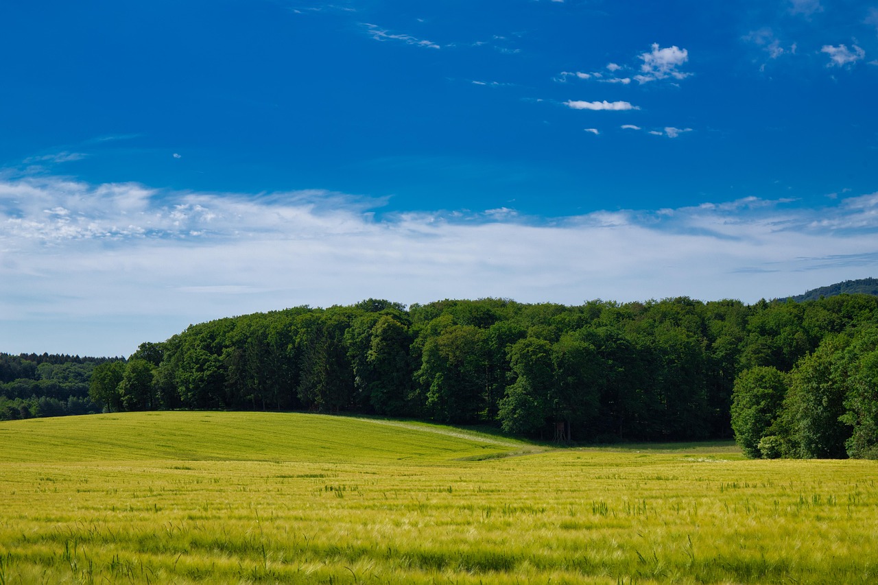 BSG in der Praxis von Sarah Morgenstern | Schwalbenstr. 18-20, 65824 Schwalbach am Taunus