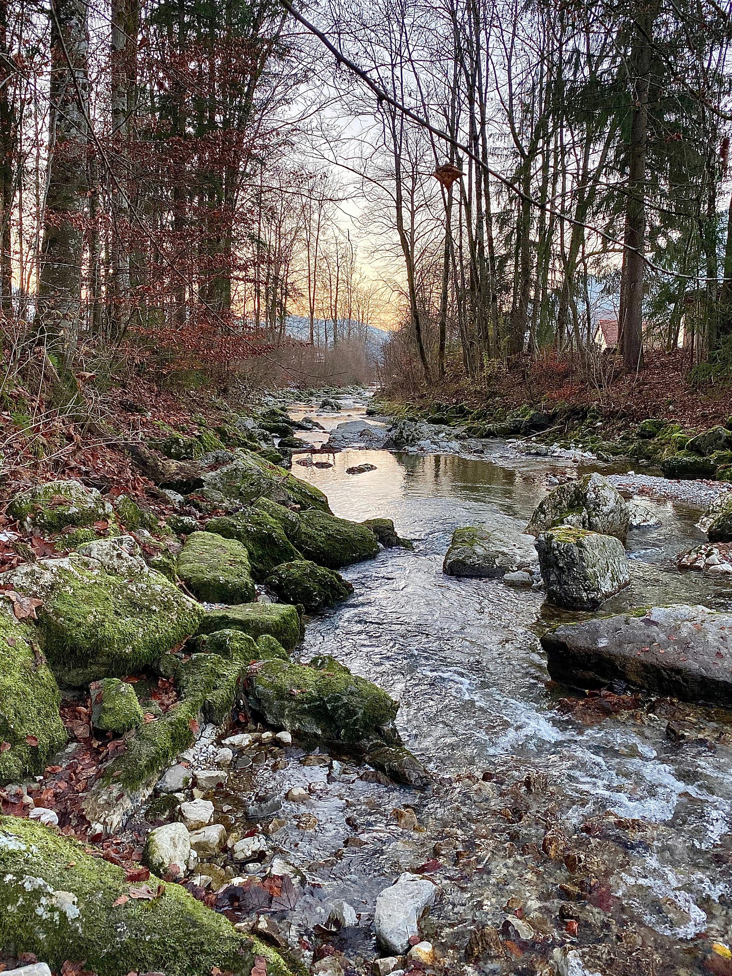 Constanze Wemhoff Kisslinger Str. 24 83700 Rottach-Egern
